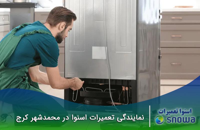 نمایندگی تعمیرات اسنوا در محمدشهر | مشکین دشت