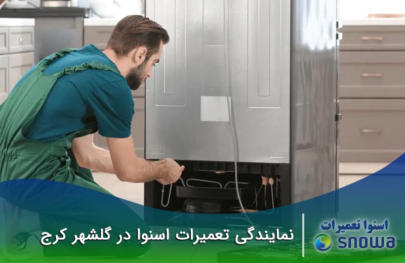 نمایندگی تعمیرات اسنوا در گلشهر 