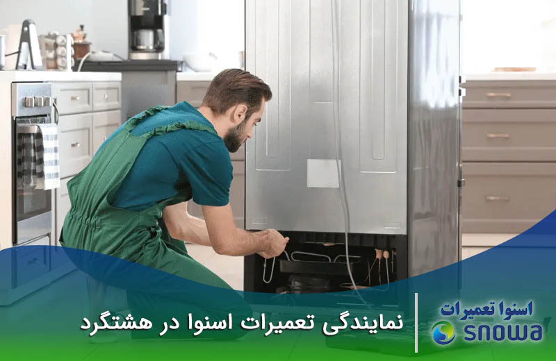 نمایندگی تعمیرات اسنوا در هشتگرد