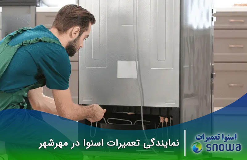 نمایندگی تعمیرات اسنوا در مهرشهر | کیانمهر