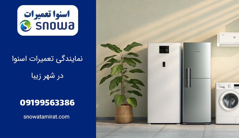 نمایندگی تعمیرات اسنوا در شهر زیبا