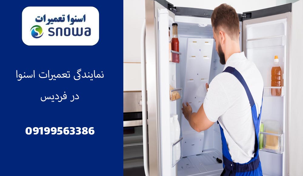 نمایندگی تعمیرات اسنوا در فردیس