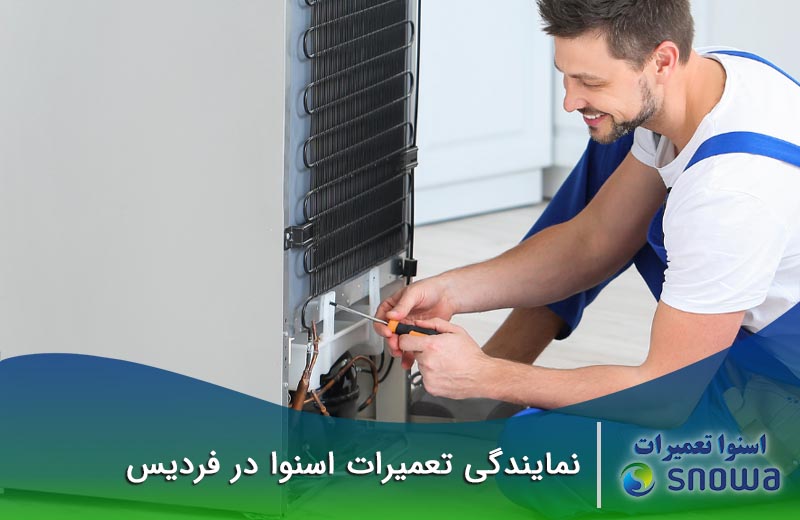 هزینه تعمیر در نمایندگی تعمیرات اسنوا در فردیس